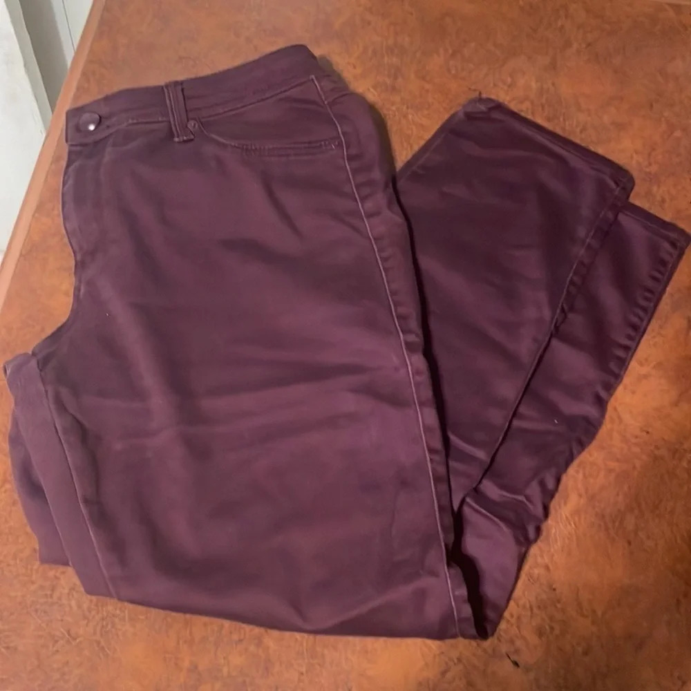 Dress barn pants